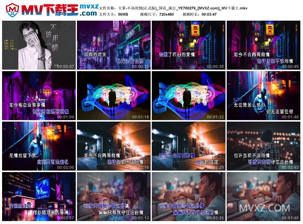 大笨-不该用情(正式版)_国语_流行_YE700279